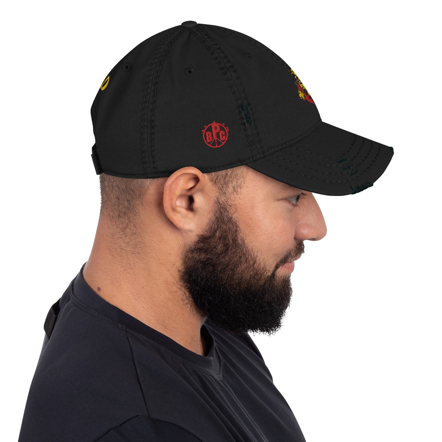 Cap Lewis sensei Distressed Dad Hat